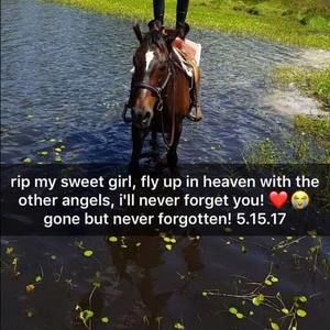 Meet your Posher, Kylie